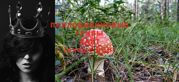 MDMA Абдулино