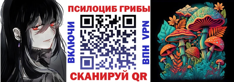 магазин  наркотиков  Камень-на-Оби  Псилоцибиновые грибы Cubensis 